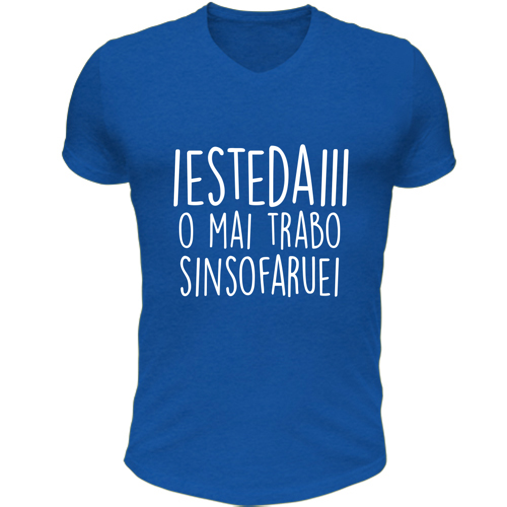 T-Shirt Unisex Scollo V Iestedai