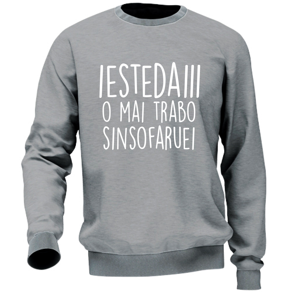 Felpa Unisex Iestedai