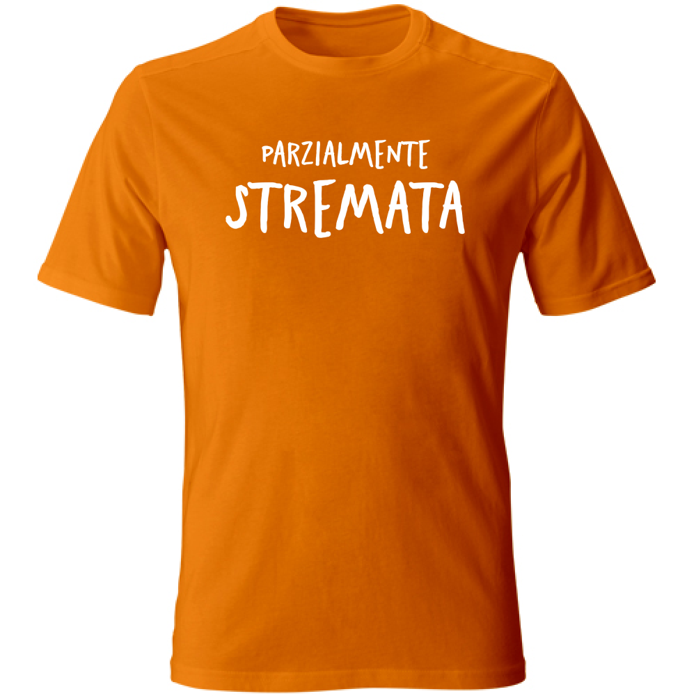 T-Shirt Unisex Parzialmente stremata - Scritte Divertenti