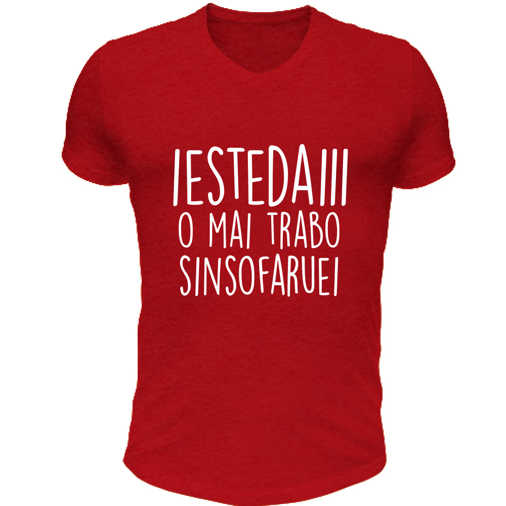 T-Shirt Unisex Scollo V Iestedai