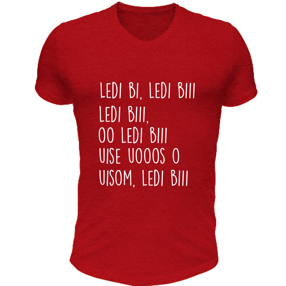 T-Shirt Unisex Scollo V Ledibi