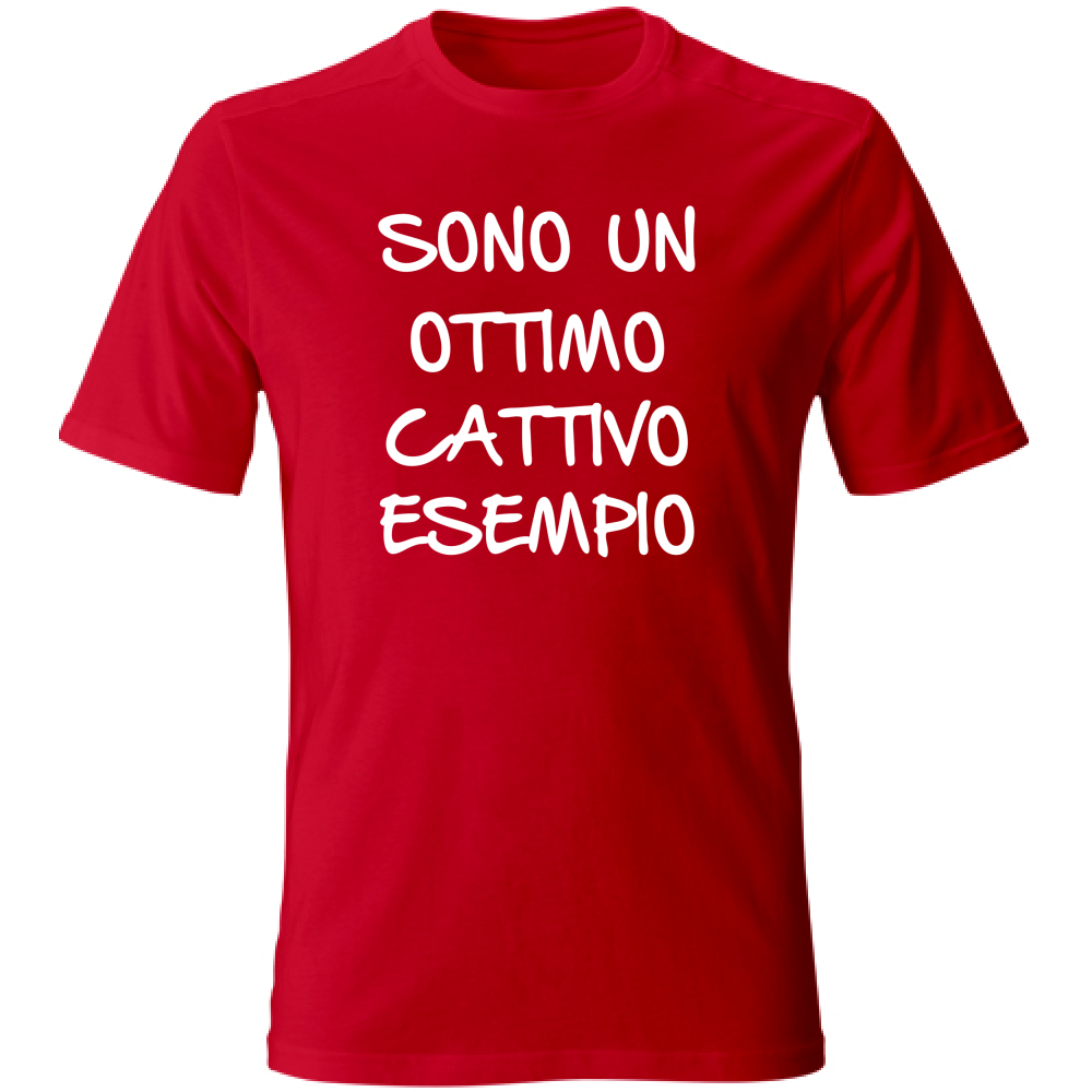 T-Shirt Unisex Large Esempio - Scritte Divertenti