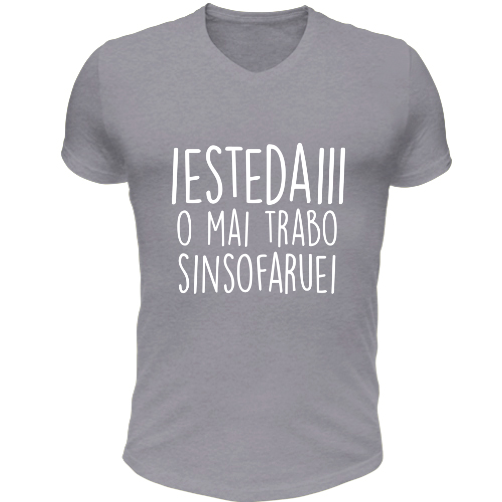 T-Shirt Unisex Scollo V Iestedai