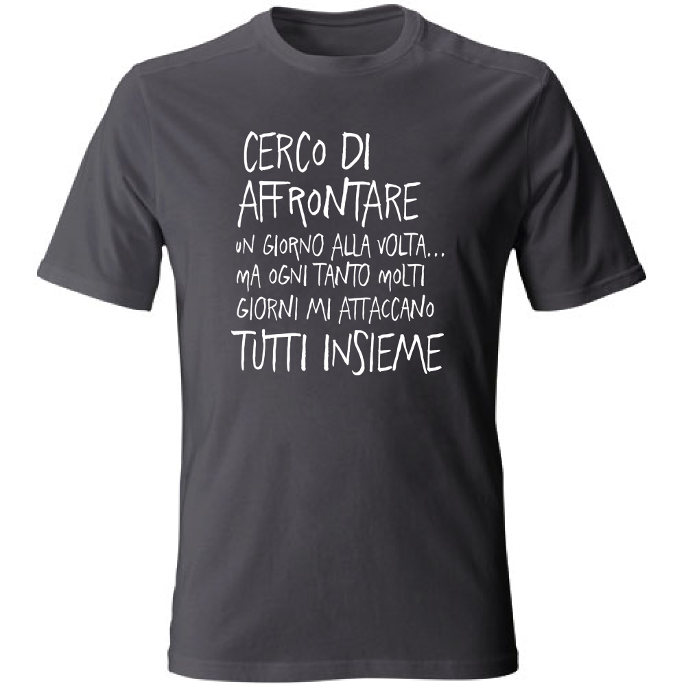 T-Shirt Unisex Large Un giorno alla volta - Scritte Divertenti