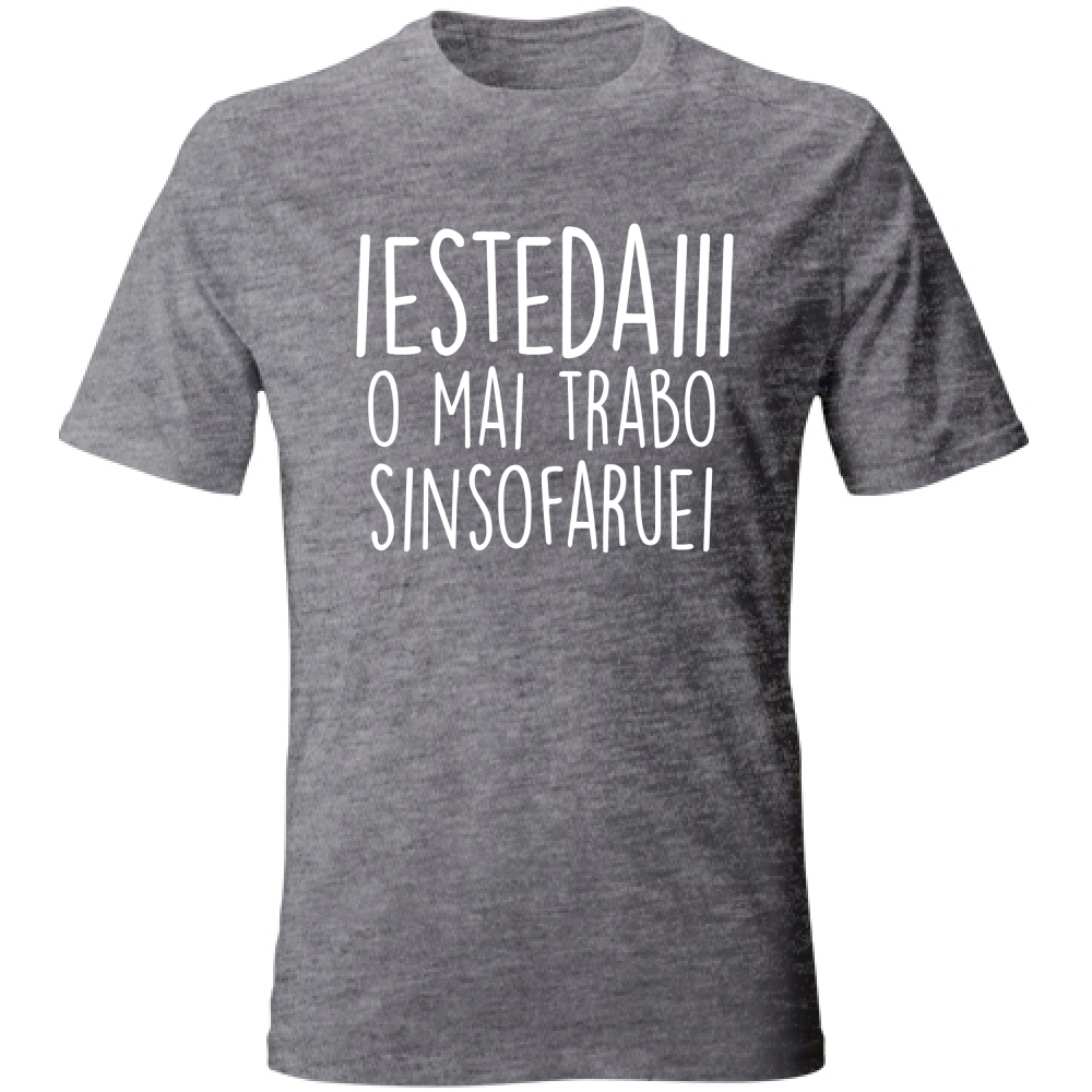 T-Shirt Unisex Iestedai