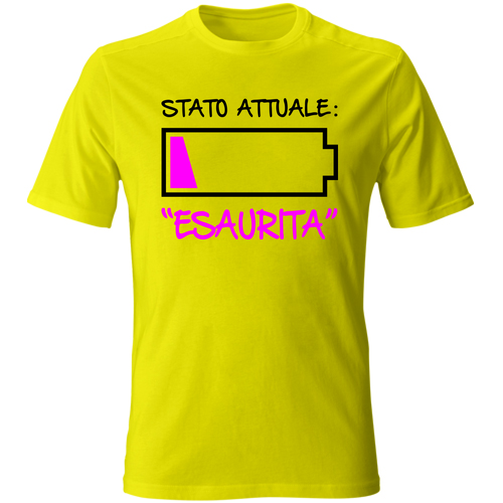 T-Shirt Unisex Stato attuale esaurita - Scritte Divertenti - Chia