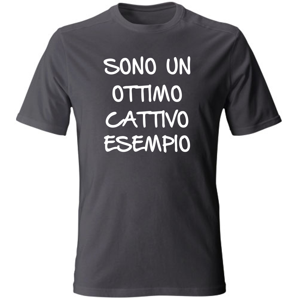 T-Shirt Unisex Large Esempio - Scritte Divertenti