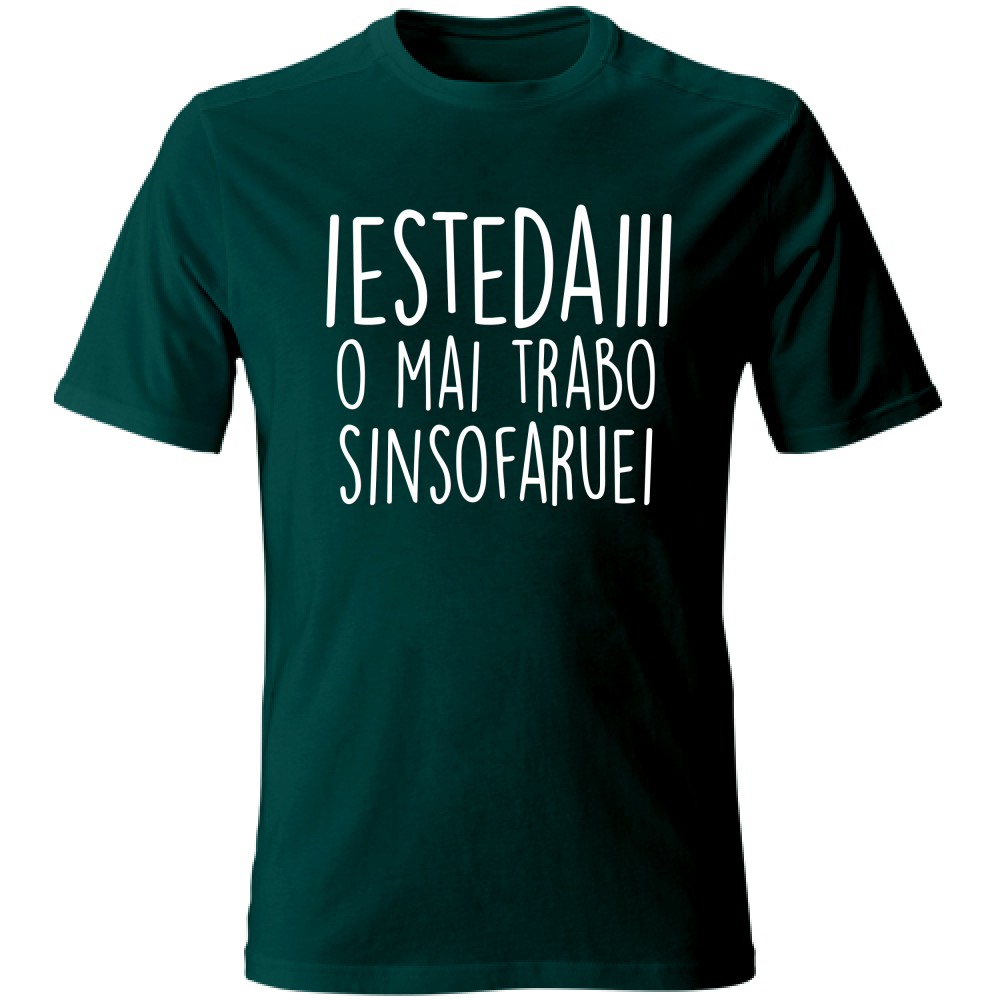 T-Shirt Unisex Iestedai