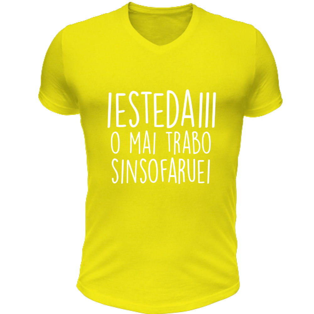 T-Shirt Unisex Scollo V Iestedai