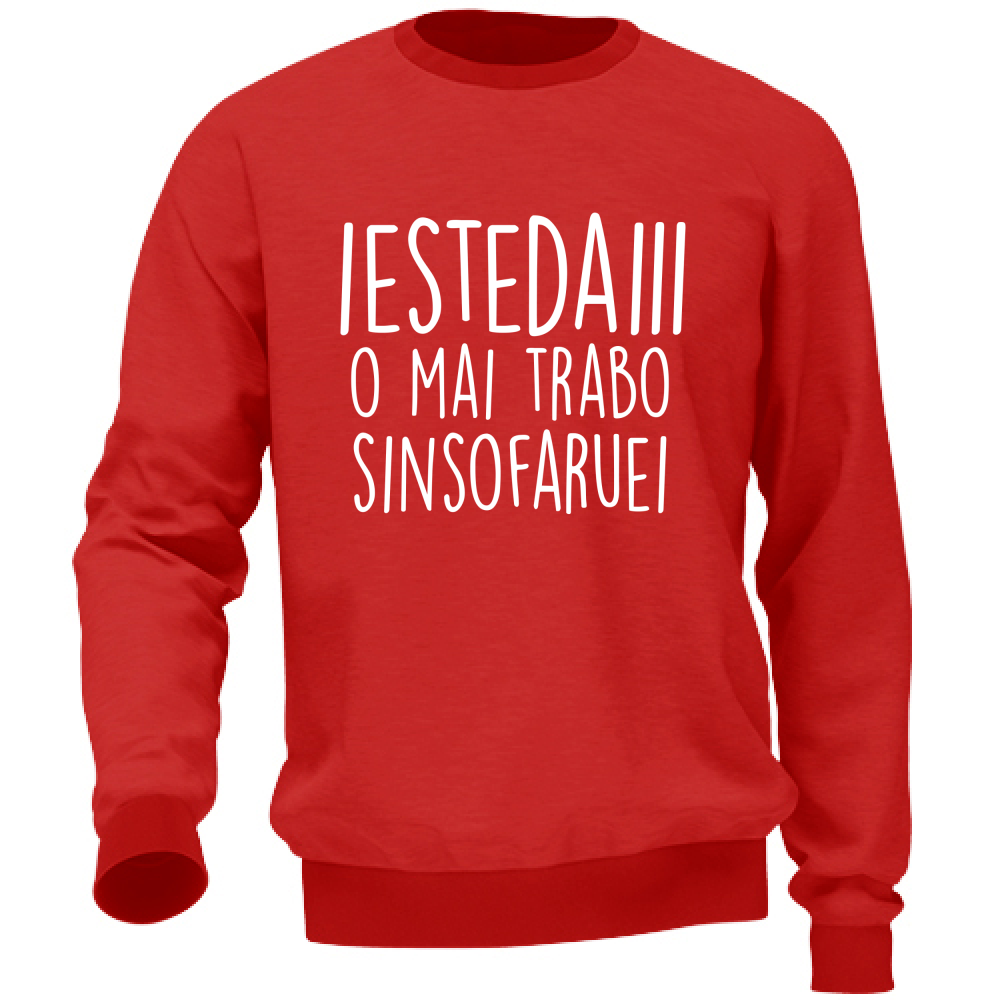 Felpa Unisex Iestedai