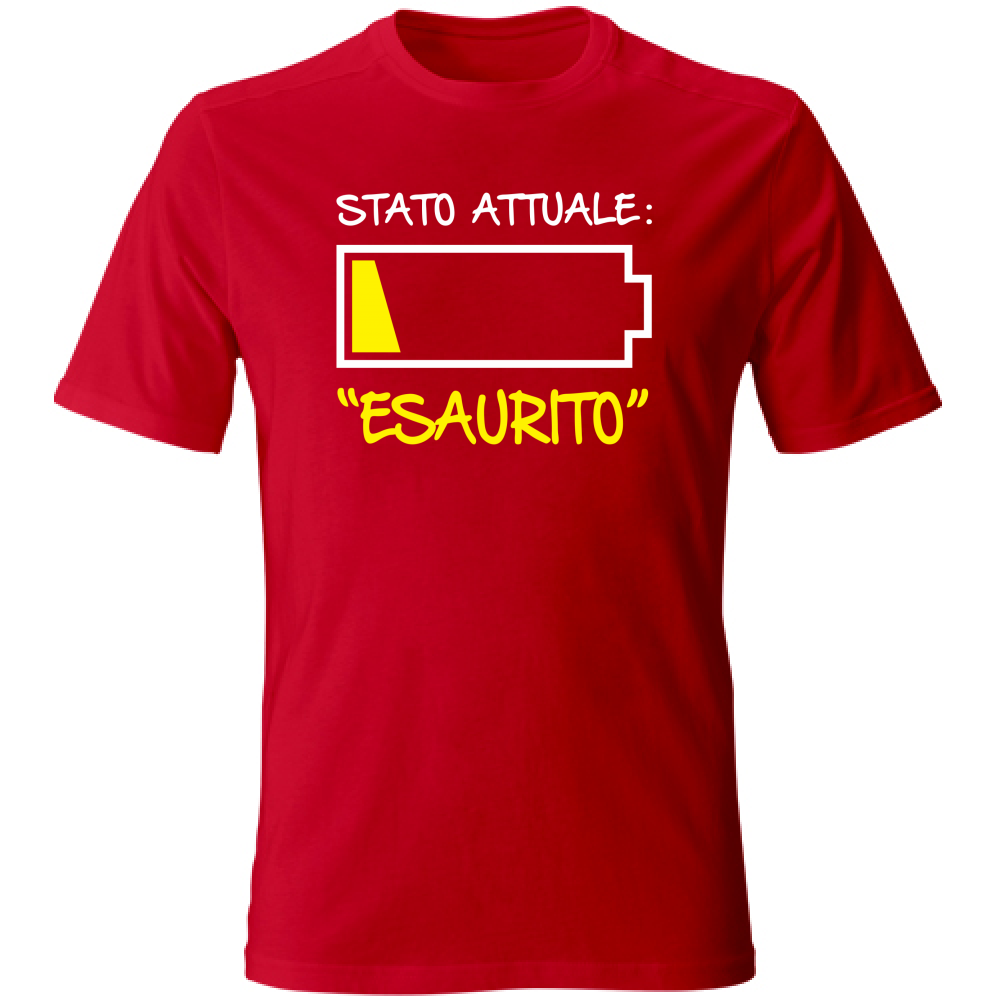 T-Shirt Unisex Large Stato attuale: Esaurito - Scritte Divertenti