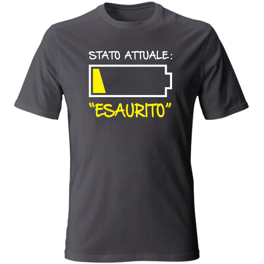 T-Shirt Unisex Large Stato attuale: Esaurito - Scritte Divertenti