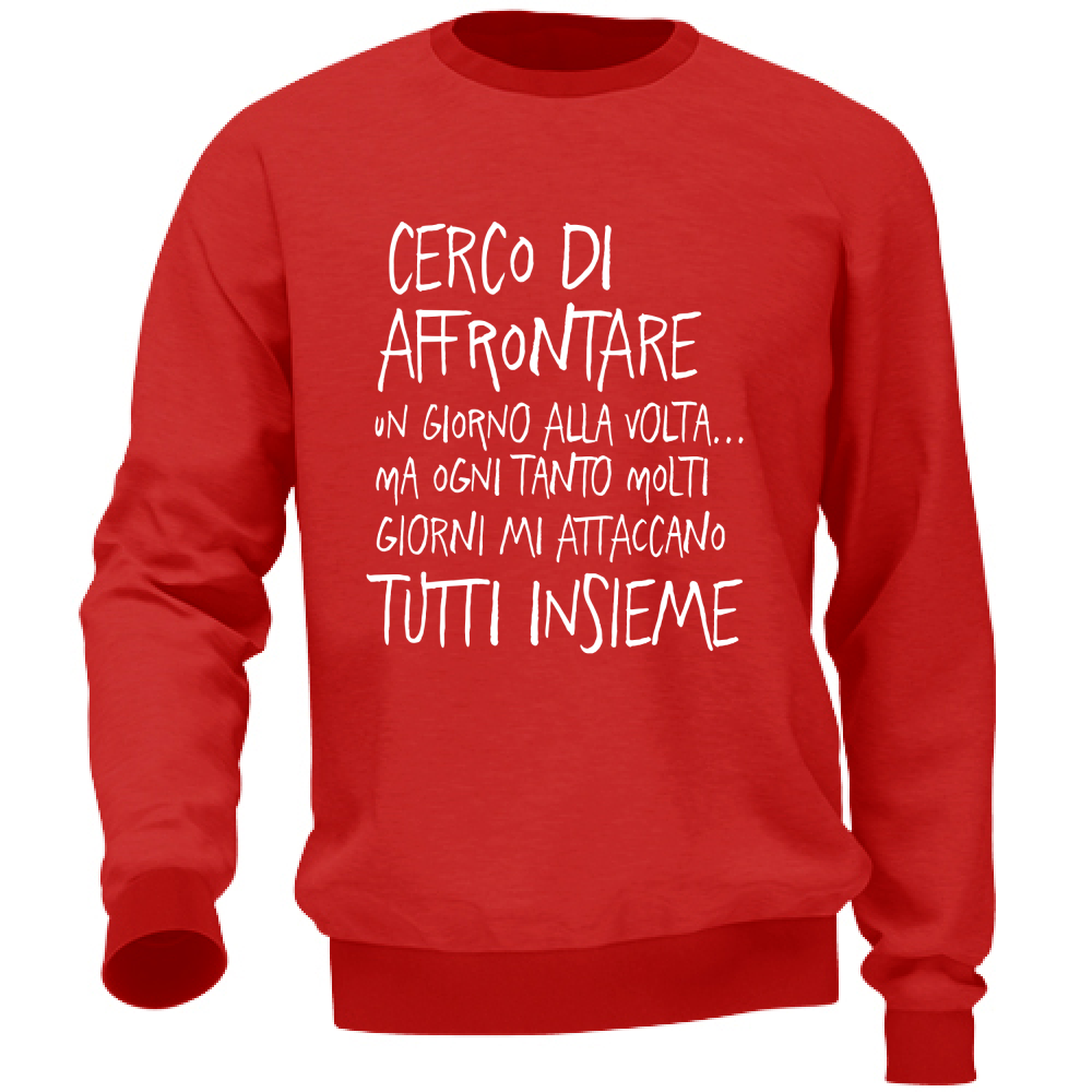 Felpa Unisex Un giorno alla volta - Scritte Divertenti
