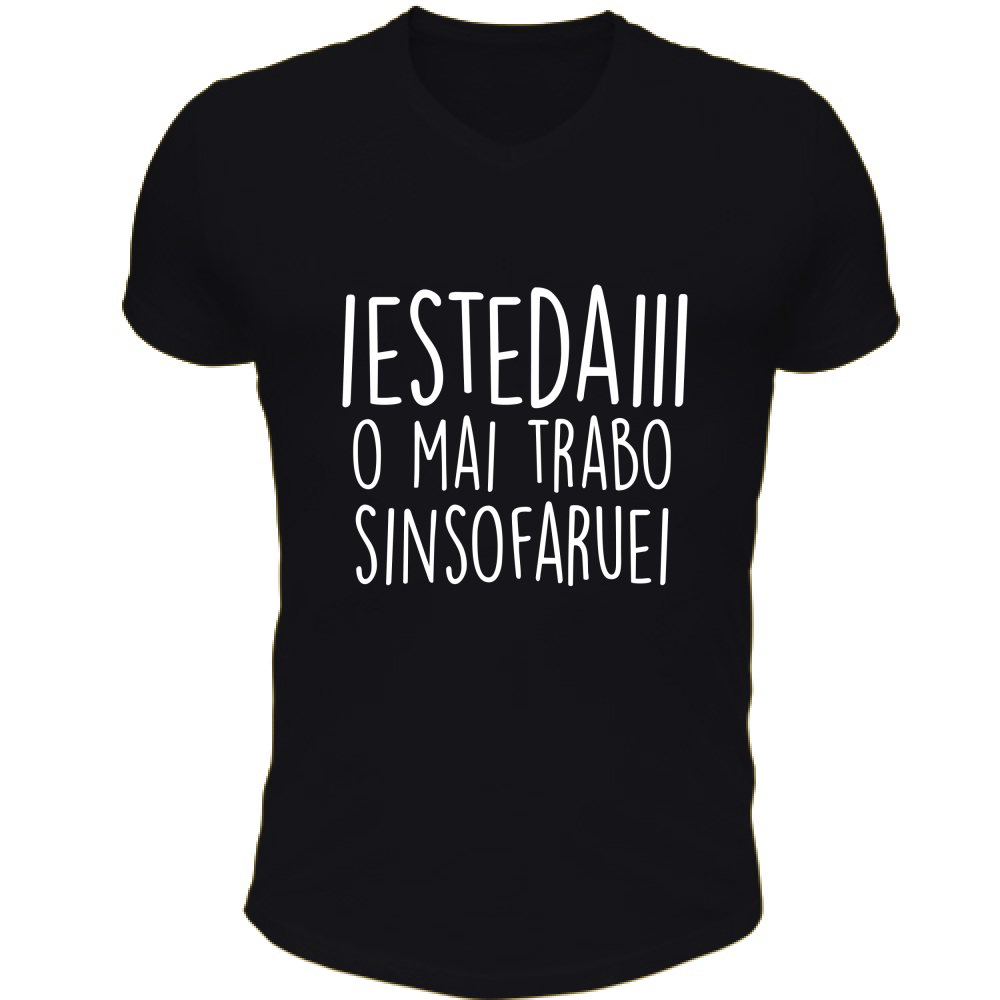 T-Shirt Unisex Scollo V Iestedai