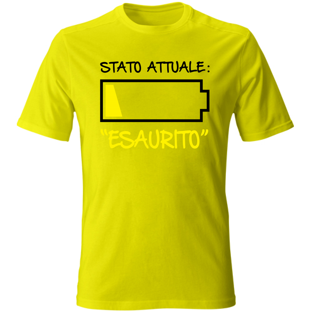 T-Shirt Unisex Stato attuale M - Scritte Divertenti - Chiara