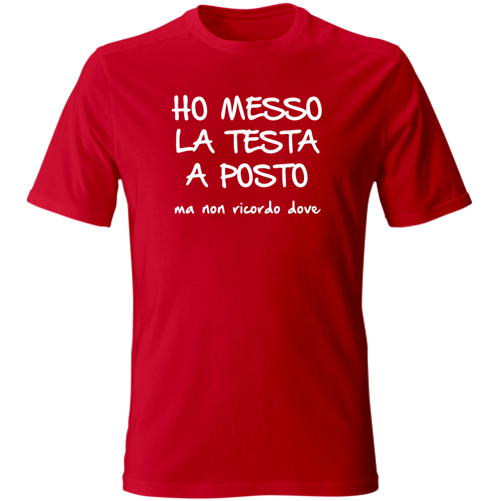 T-Shirt Unisex Large Ho messo la testa a posto - Scritte Divertenti