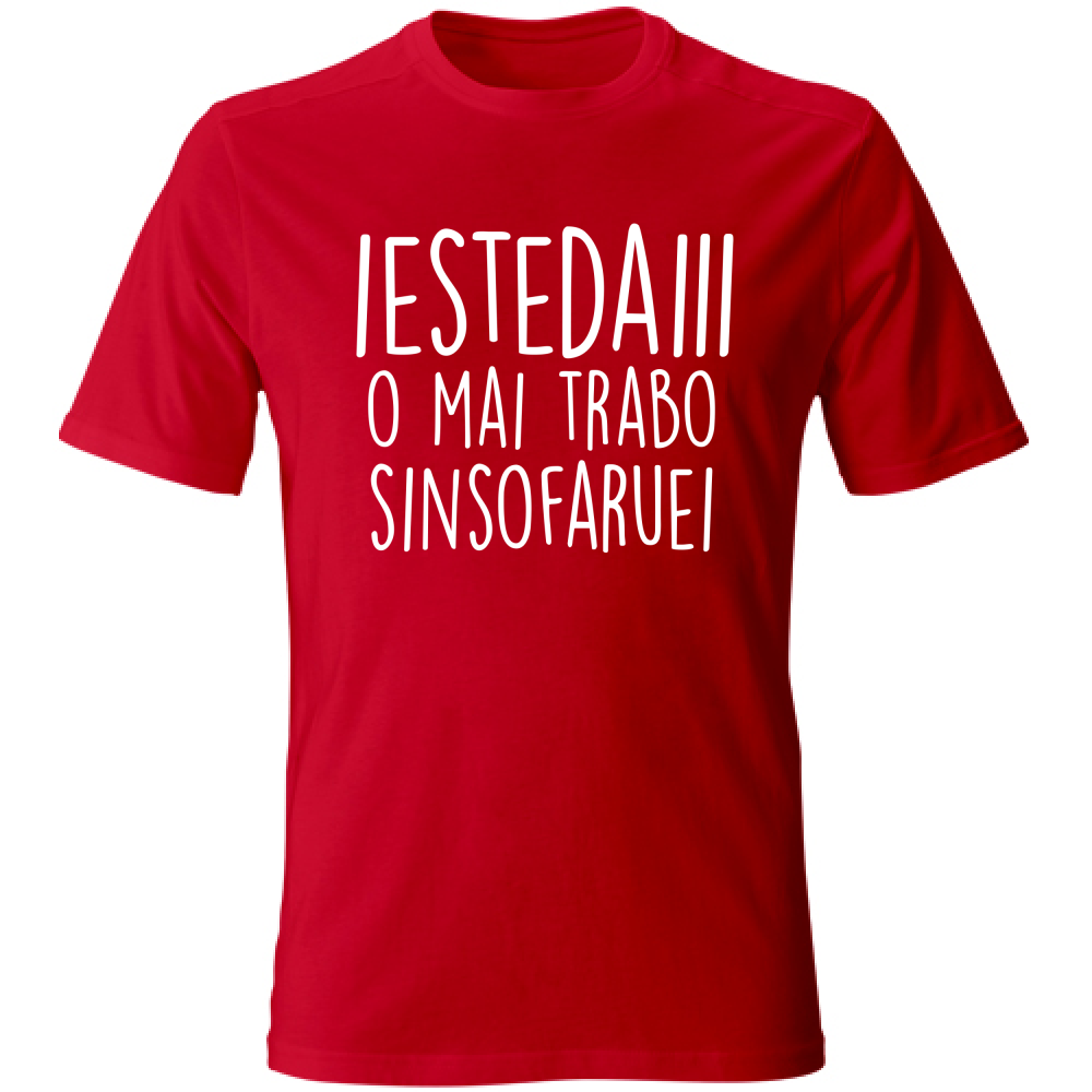 T-Shirt Unisex Iestedai