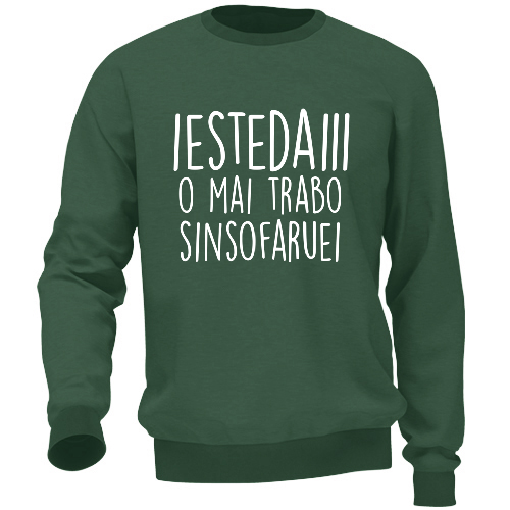 Felpa Unisex Iestedai