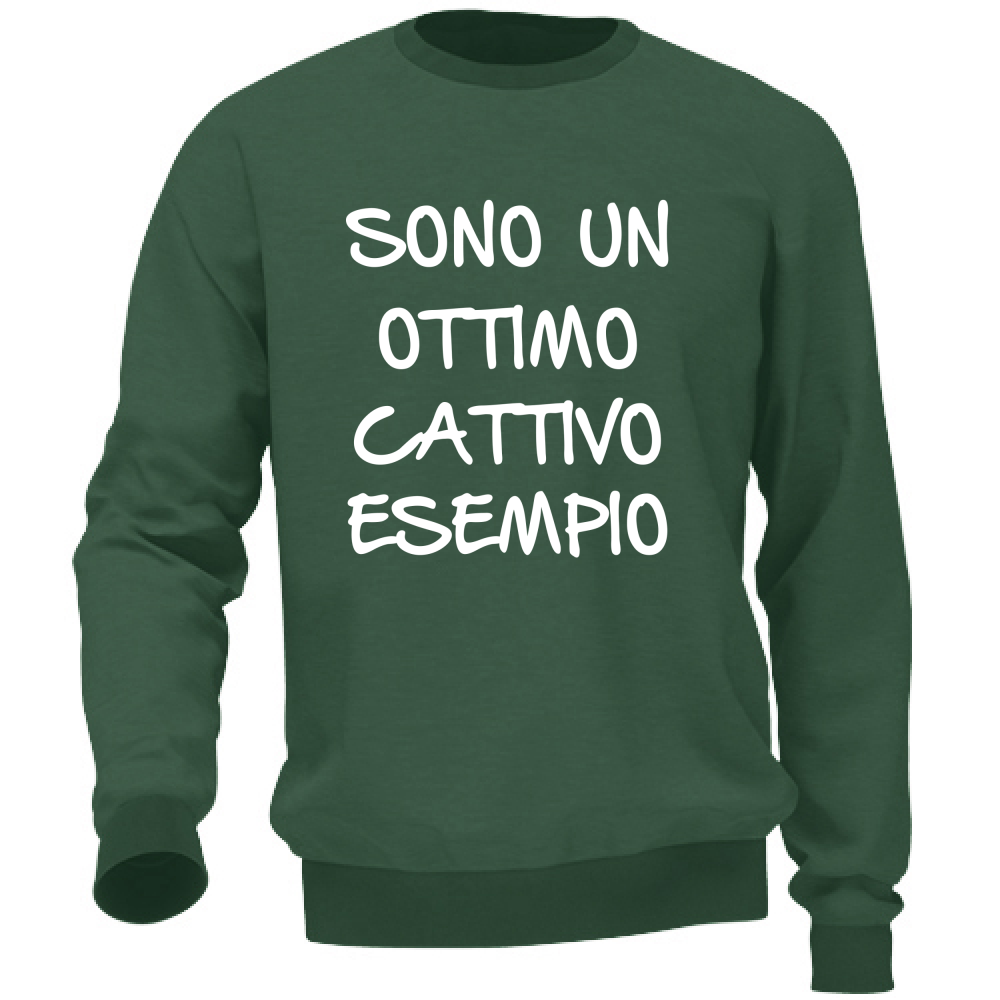 Felpa Unisex Esempio - Scritte Divertenti