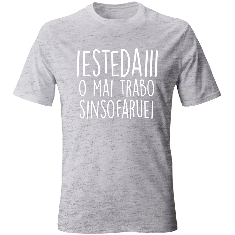 T-Shirt Unisex Iestedai