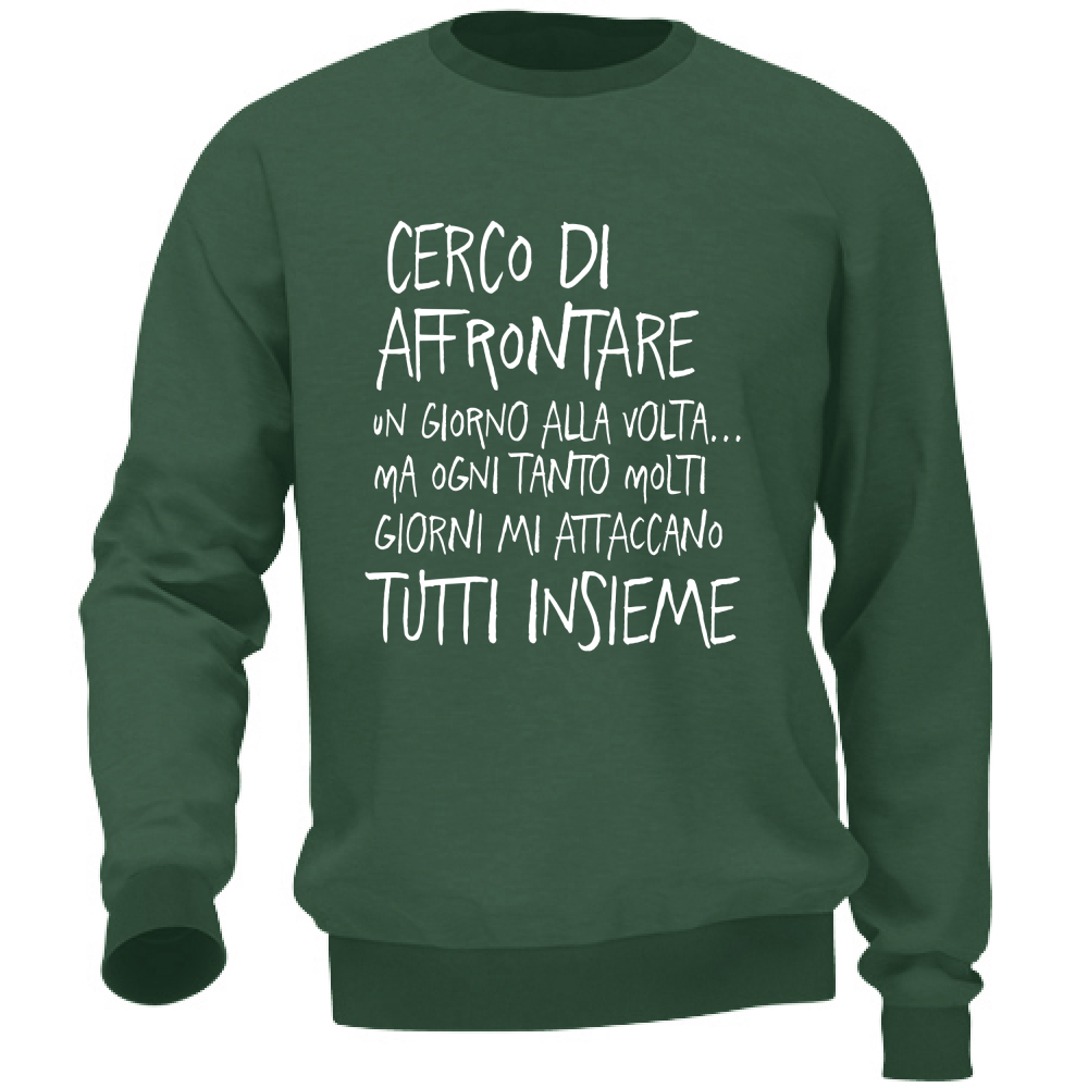 Felpa Unisex Un giorno alla volta - Scritte Divertenti