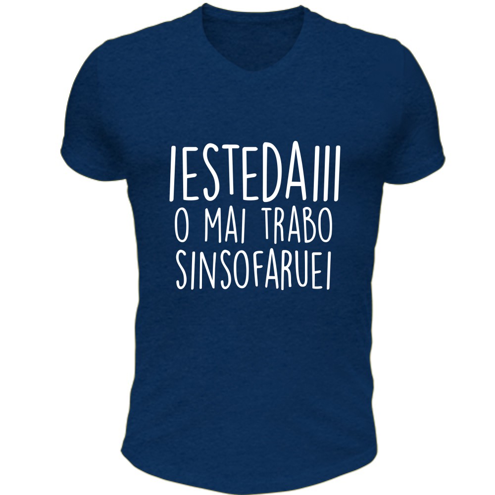 T-Shirt Unisex Scollo V Iestedai